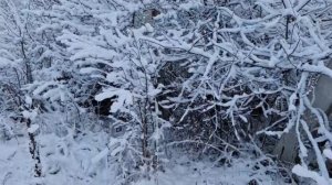 Посёлок зимой