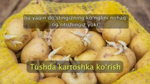 Tushda kartoshka ko‘rish - Tush Ta’birlari - Тушда картопла кўриш