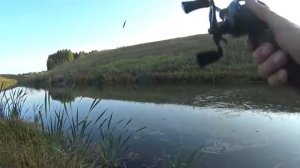 Ооо Нормальная взяла!Рыбалка на спиннинг.