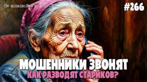 КАК РАЗВОДЯТ СТАРИКОВ? | ОБМАНУТАЯ МОШЕННИКАМИ | РАССКАЖИТЕ СВОИМ БЛИЗКИМ | ПЕЧАЛЬНЫЙ РАЗГОВОР