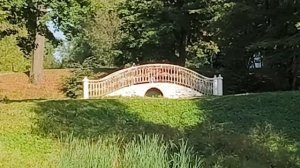 Примеры съёмки с камер Xiaomi 14T Pro: ВСЕ РЕЖИМЫ + НОЧЬЮ + ФРО