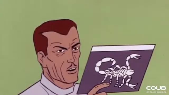 Лучшие приколы coub №5 ржака до слёз смотреть онлайн