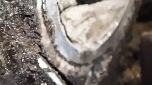 Замена сальников КПП Фольксваген т3