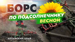 БОРС по подсолнечнику весной. Алтайский край