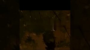 🔪Мужчина разгуливал с ножом во дворе дома в Северном Тушино в Москве🔪