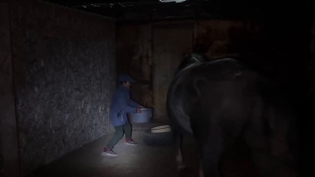 Ат қораны ретке келтіріп. Атқа астау жасауға үлкен пок смотреть онлайн