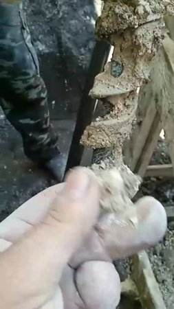 VID-20250522-WA0019.mp4