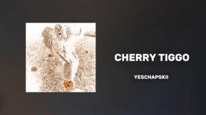 (МИНУС) CHERRY TIGGO | YESCHAPSKII