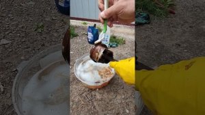 Чем отмыть нагар в двигателе? AZELIT это сила!!!