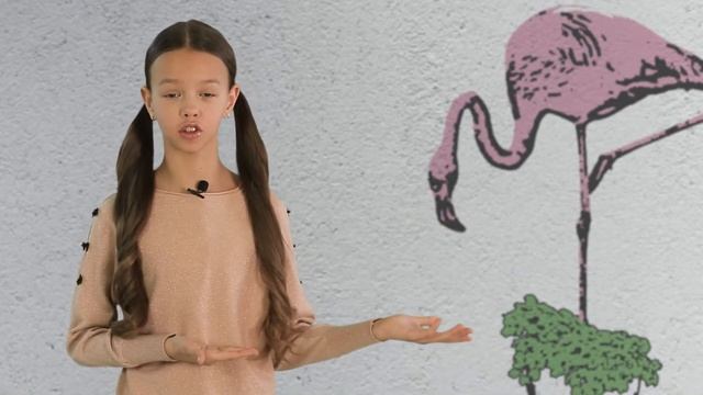 Программа Fanny Kids на телеканале Навигатор смотреть онлайн