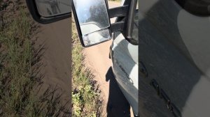 Соллерс Арго. Сечет глушитель