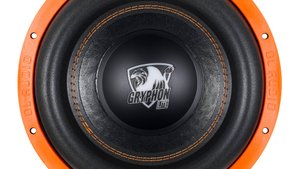 Распаковка сабового динамика DL Audio Gryphon Lite 12 V.3 SE