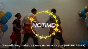 Famadihana, notimd - Танец маленьких утят (PHONK REMIX)