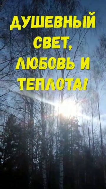 Утра доброго!#shorts