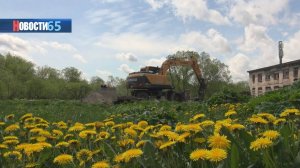 Зона отдыха «Тимирязевское». Новое общественное пространство откроют осенью в Южно-Сахалинске