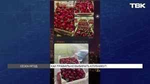 За сколько продают клубнику на улицах Красноярска?