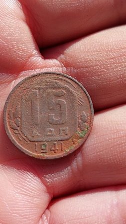 огород за 15 копеек.....