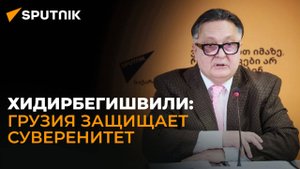 Грузия не антиевропейская, она выбирает ценностный вектор – Хидирбегишвили