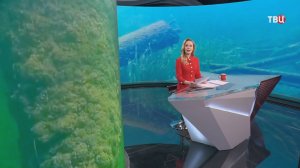 Экспедиция "Поклон кораблям Великой Победы" начала новый поисковый сезон в Финском заливе