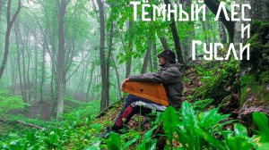 Гусли и Дождь / Музыка Души из Лесной Глуши / Гора Стрижамент