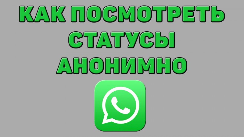 Как посмотреть статусы анонимно в Ватсапе