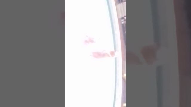 Цирк Иваново новогодняя программа декабрь