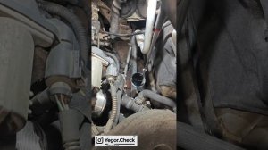 Audi Q5 2013, 2.0 tfsi. Раскоксовка своими руками в США 🇺🇸. Реа