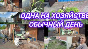 БОРЮСЬ С ТРАВОЙ. УБОРКА ВО ДВОРЕ