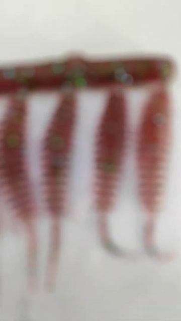 Бизнес дома. Принял небольшой заказ на приманку Tanta 1.5" смотреть онлайн