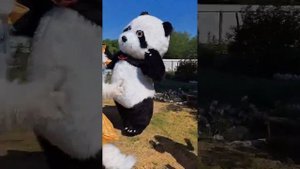 Брат и сестра -две души,два крыла!!!!