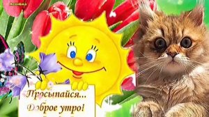 С Добрым Утречком, Пятница! Чудесных Выходных! Красивая Музыкальная Открытка!