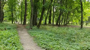 Основная камера OnePlus Nord 4 Global - 4К 60FPS