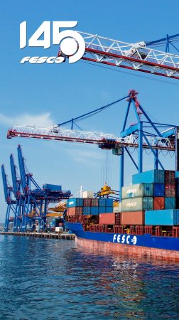 Динамика обработки в порту FESCO