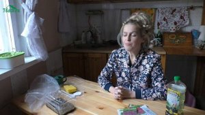 Посевы в декабре: садовые цветы, которые пора сеять, и сорта овощей для домашнего огорода - 7 дач