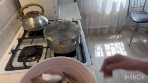 Покупка цветов🌹посадка🌺готовим уху🤗🌹
