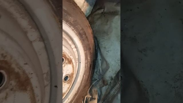 колёса на газель на дисках и резина на газель. несколь? смотреть онлайн