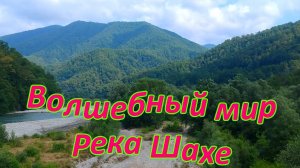 Дикая природа Большого Сочи. Река Шахе.