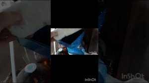 Три компонента почво грунта для саженцев винограда.