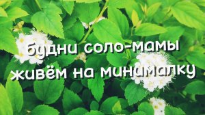 ОДНА С ДВУМЯ ДЕТЬМИ ЖИВУ НА МИНИМАЛКУ
