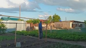 ЧАСТЬ 2  15.06.2025г
 ВЕЧЕР ПОД ПТИЧЬИ ТРЕЛИ