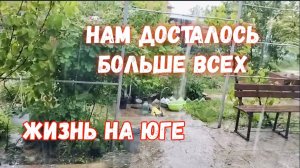 #26🌷Нам  досталось больше всех/Налепила пельмешек/Вареники с клубникой