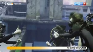 Светлана Абрамова Утро России Эфир от 14.07.2021