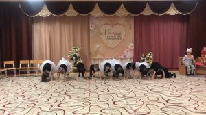 Танец «Кошка беспородная».Старшая группа в детском са