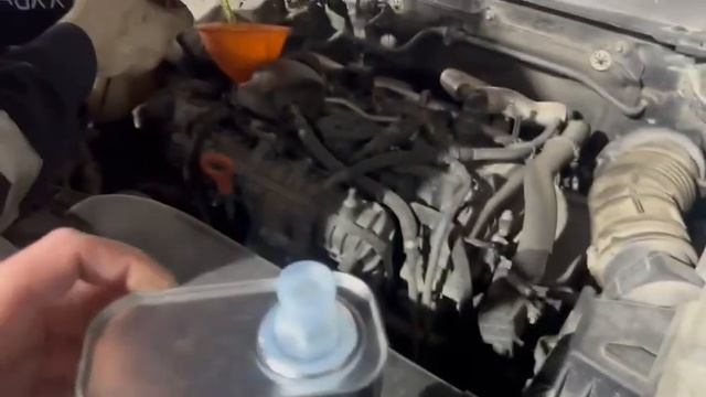 8 ТО❗️❗️❗️ Масло Akkora👍👍👍 смотреть онлайн