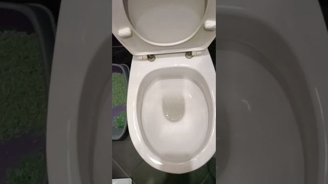 как слить воду в унитазе