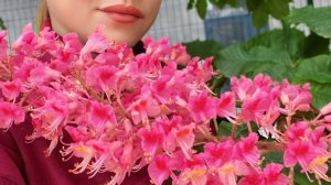 ТГ канал с хрустом. Асмр попурри)