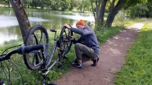 Блог Влог Семьи Прайд. Стаффордширский терьер