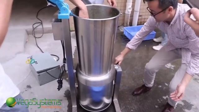 Блендер промышленный Vega Chopper Vegetable измельчение овощей и фруктов