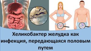 Хеликобактер как инфекция, передающаяся половым путем