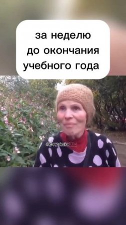 Всем педагогам посвящается. Держимся, коллеги 🩵